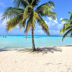 Moorea - Tropical Soul Hébergement de vacances